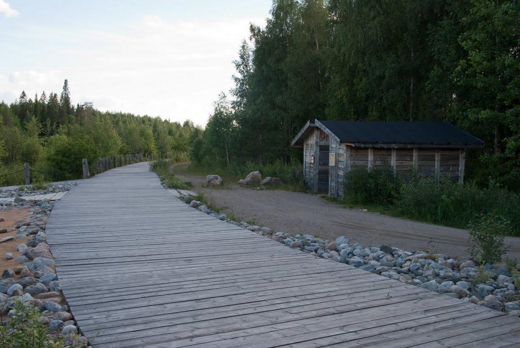 Scandinavian Dream Cottages Vikajarvi- Rovaniemi Bagian luar foto